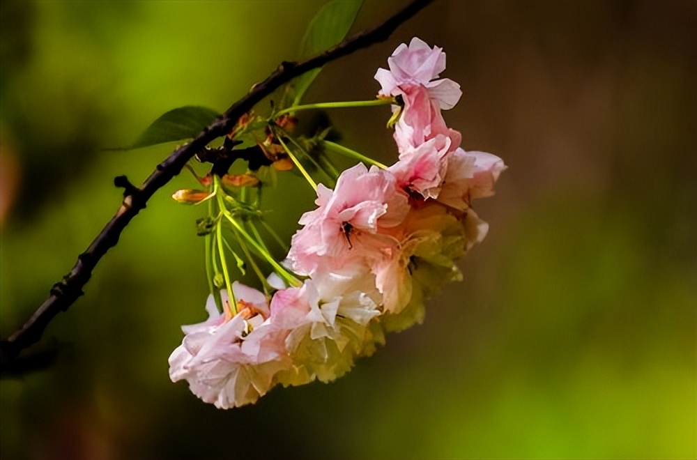 最美心头一亮时初中满分作文,满分作文友谊让生活更美好