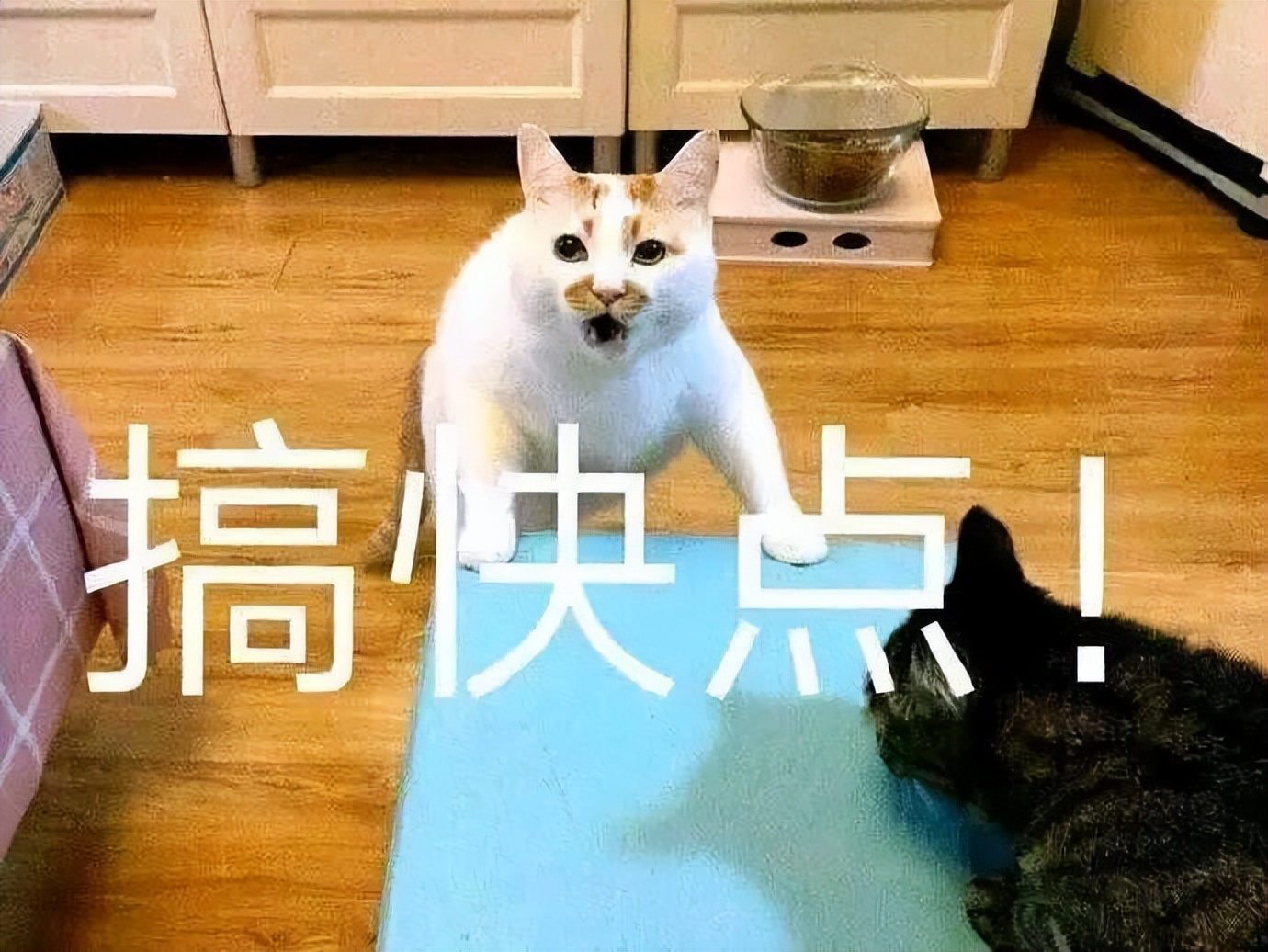 520“宠粉日”，《足球周刊》开启包邮网购服务