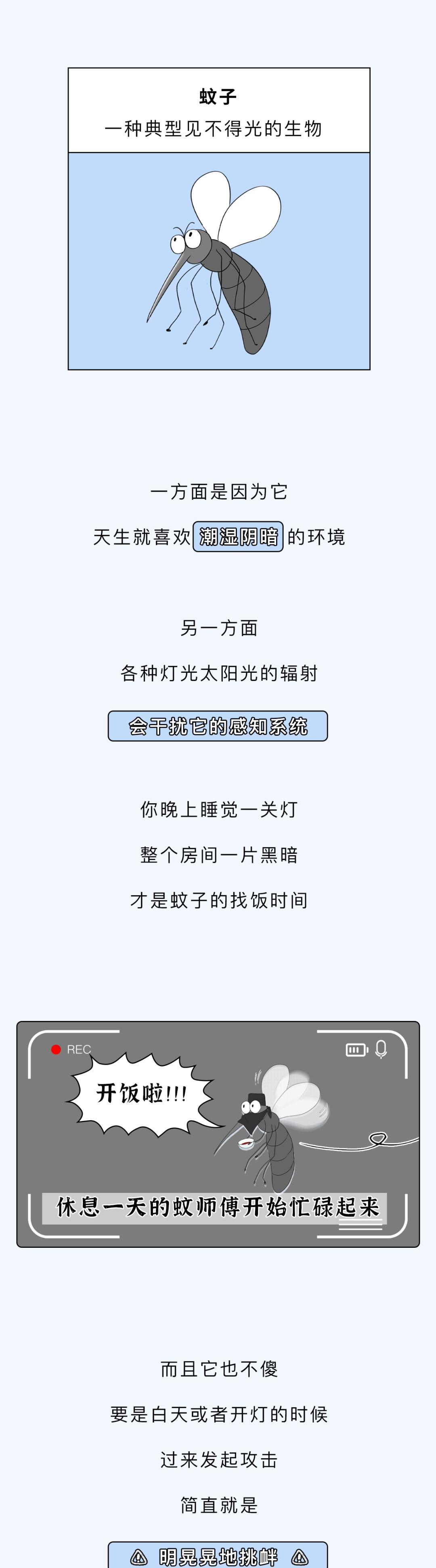为什么一到睡着前蚊子就会嗡嗡,为什么一睡着蚊子就出来