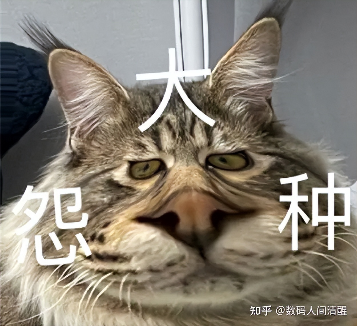 花四五千买小米值得吗,花六千买小米到底值不值