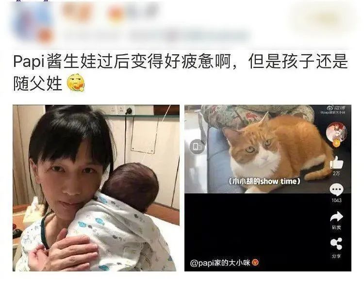 招黑网红现状,被黑最惨的网红