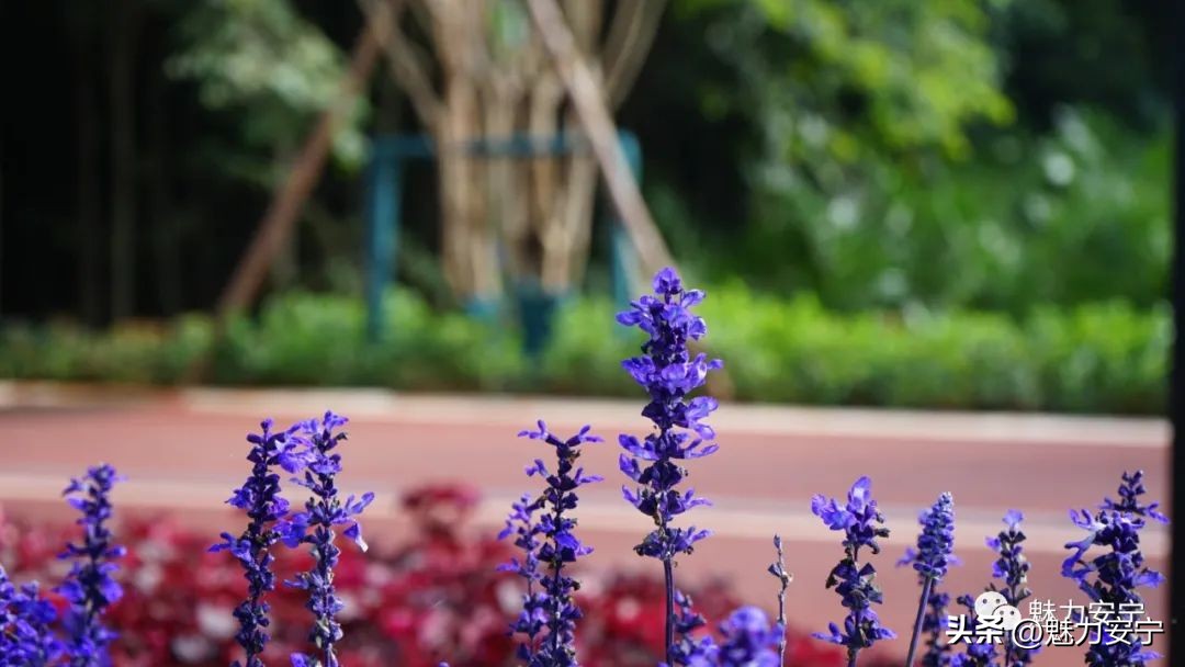 鐖变笂杩欒瘲鎰忕殑鐢熸椿,鐖变笂杩欒瘲鎯呯敾鎰忕殑鐢熸椿