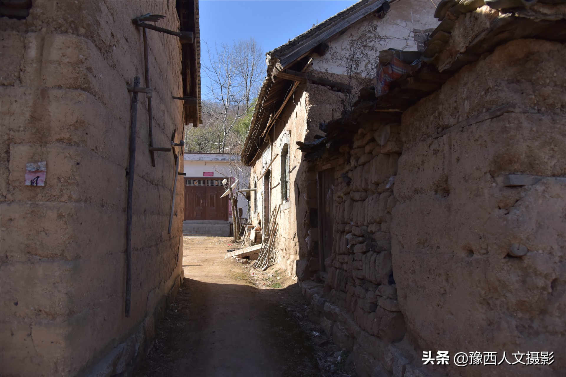 孤山坟墓葬在哪里好,孤山上的坟墓