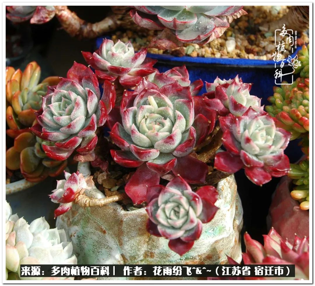 快乐的童年时光视频,回味快乐的童年美好的时光