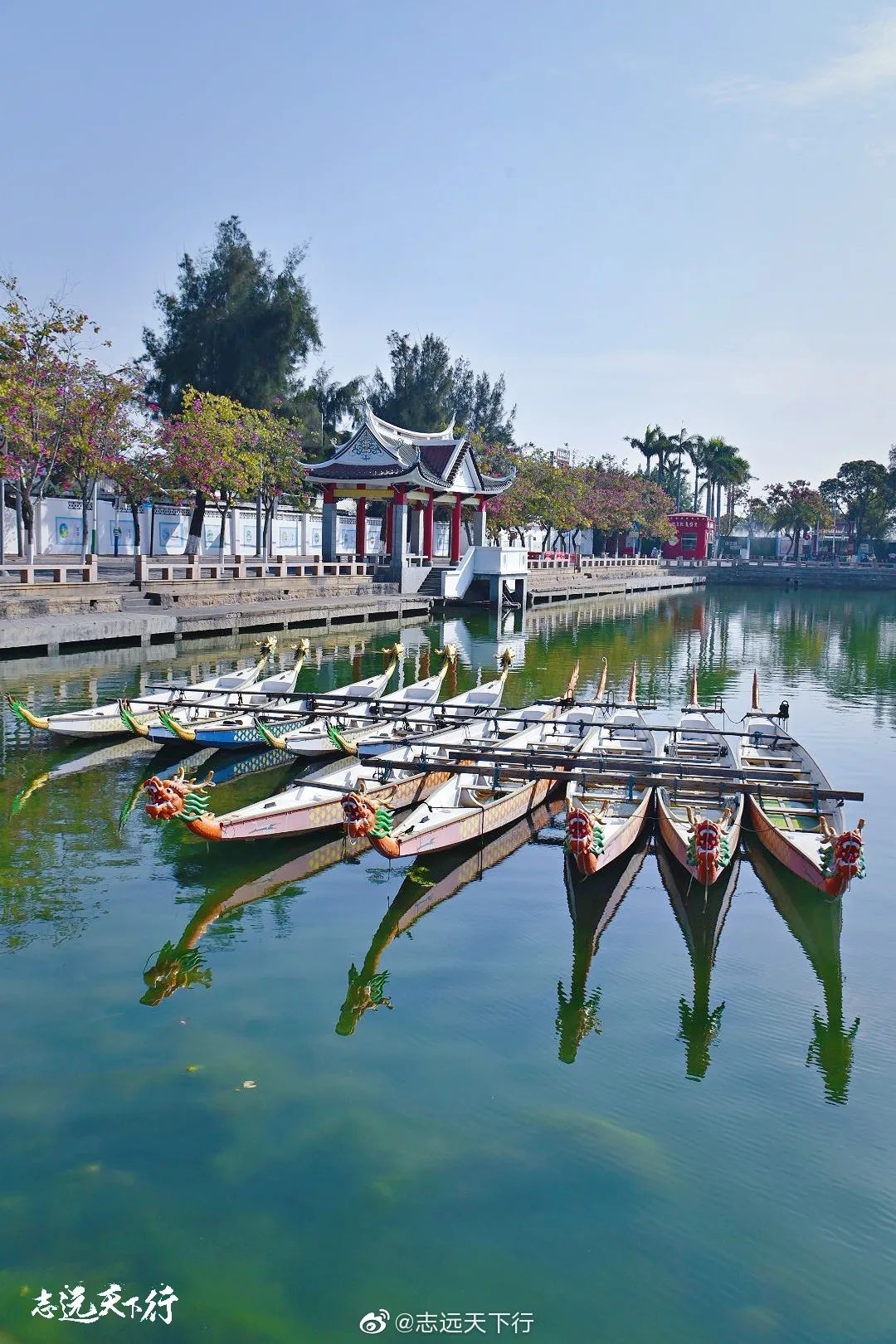 【闽山闽水物华新】又挖到宝藏旅游线路了！这份厦门两天一夜游玩攻略你一定要收藏！