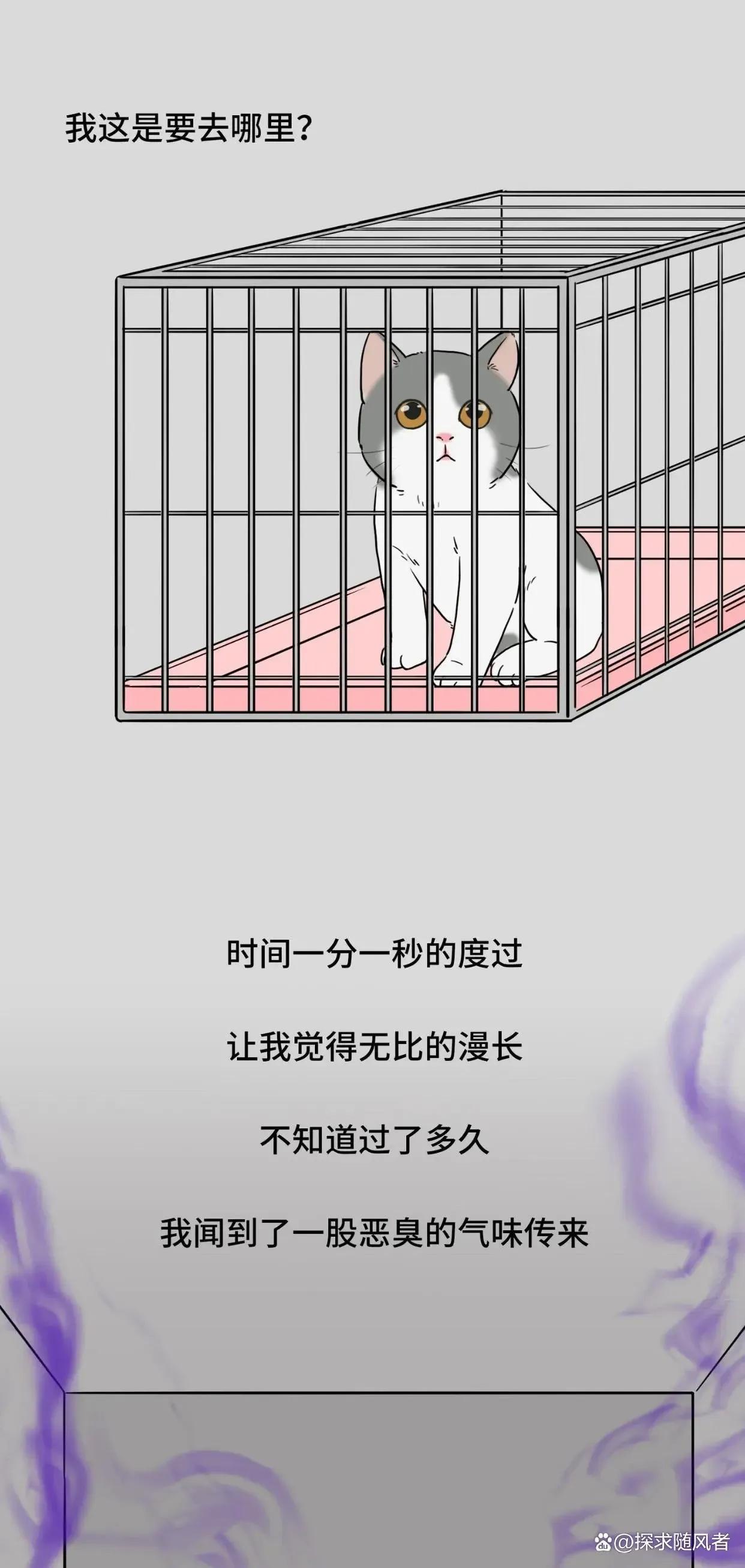 救救我我不想死日语,救救我漫画免费观看