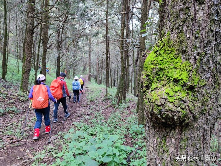 逛天坑、探叮呤当啷洞，去昆明安宁徒步，总有很多惊喜