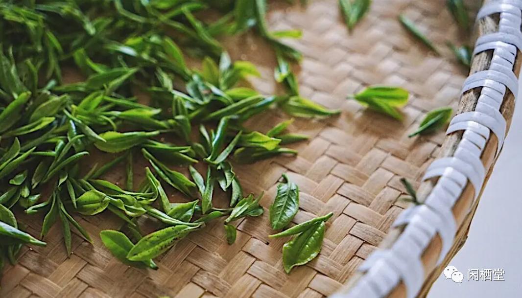 中国顶级茶叶排行榜,中国顶级茶叶排行榜大全