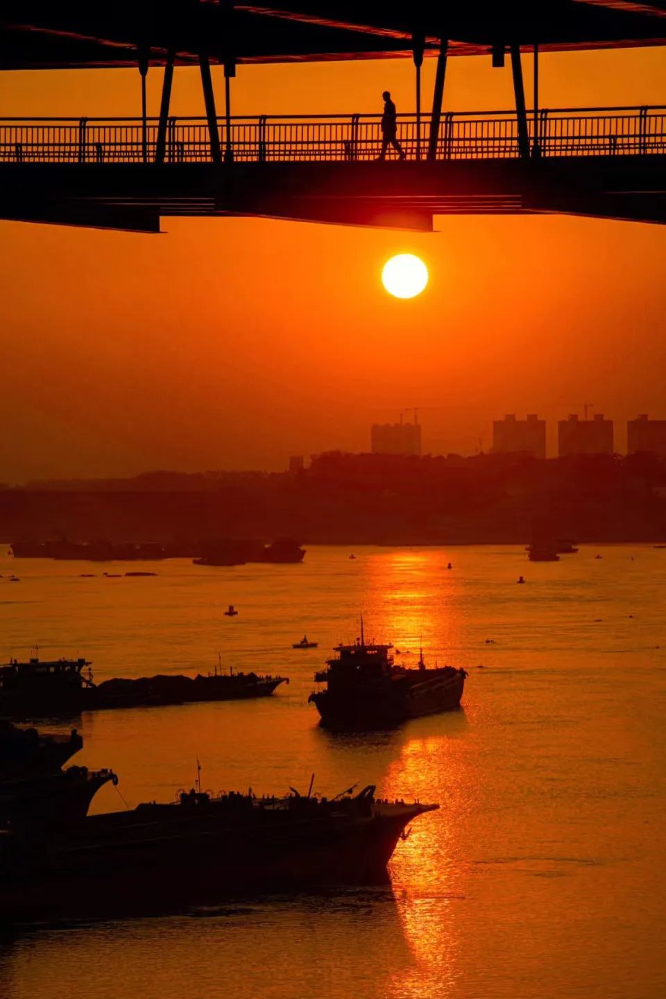 回到早睡早起的日子,回老家朝九晚五