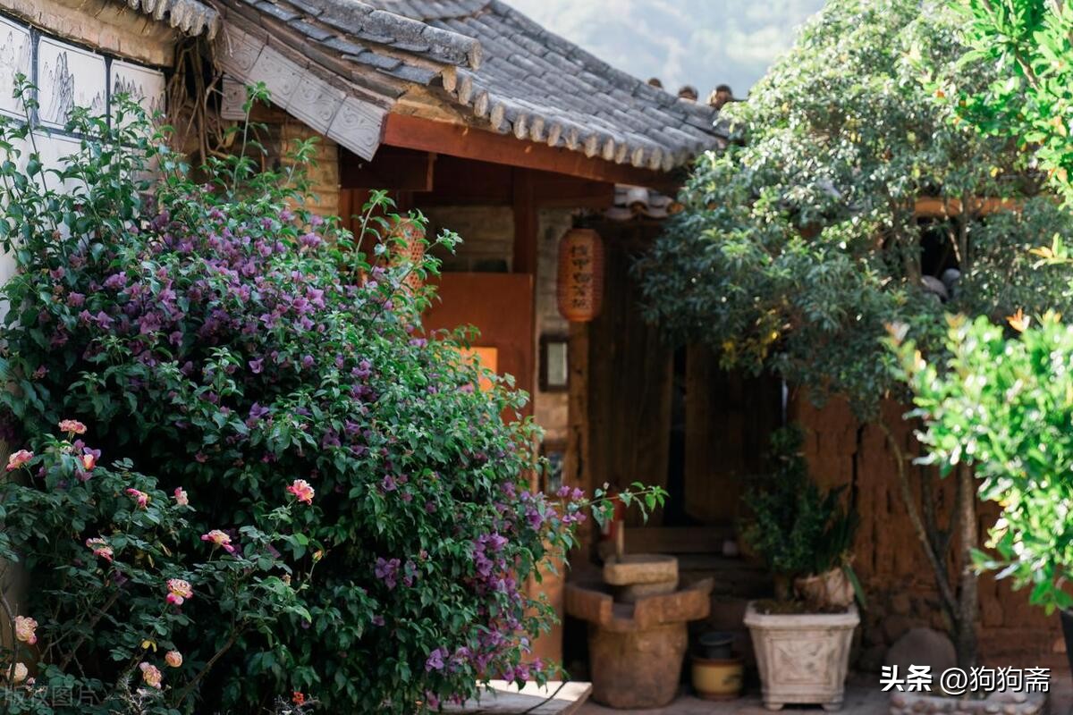 从底层开始小说,底层生活小说全集