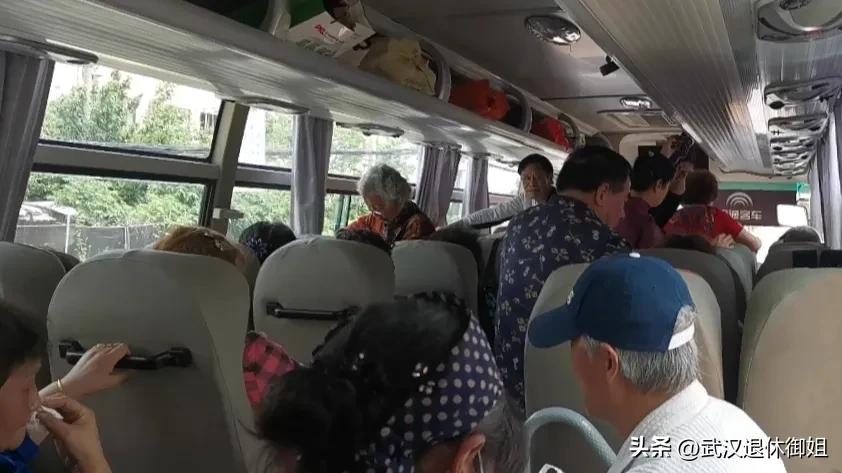 40到60岁老人免费领鸡蛋,60岁老人免费领鸡蛋