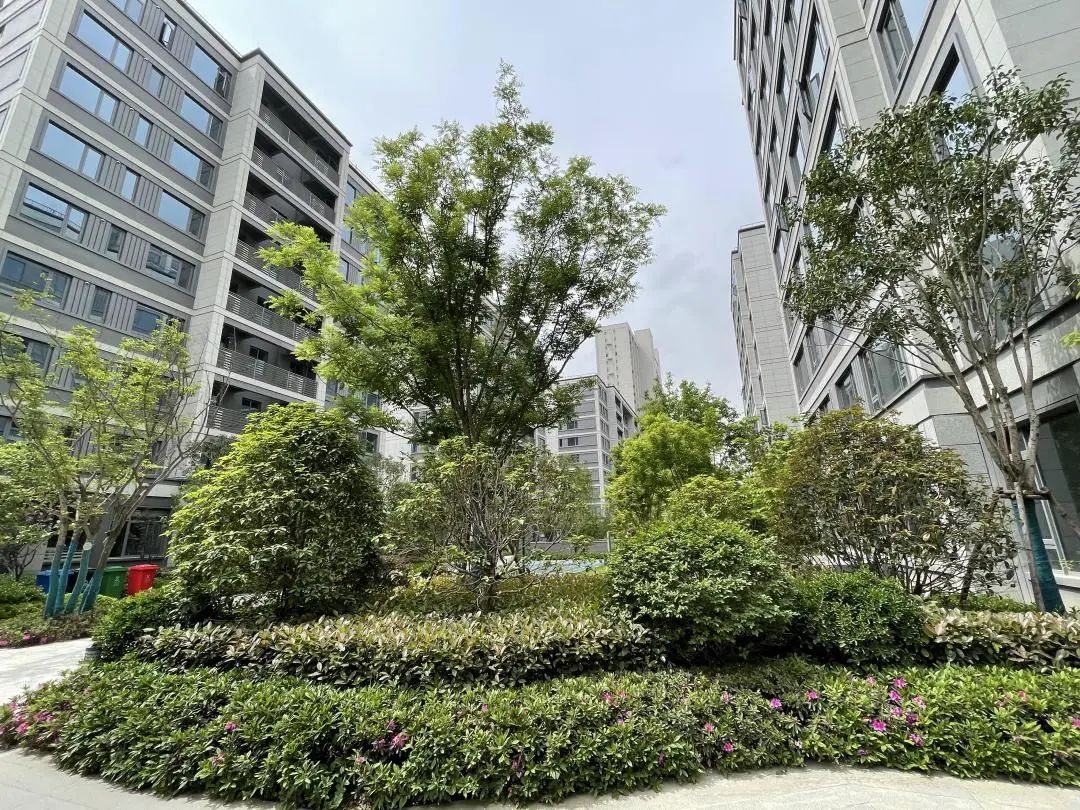 绿城桂语江南西安交房最新消息,西安绿城桂语兰庭验房