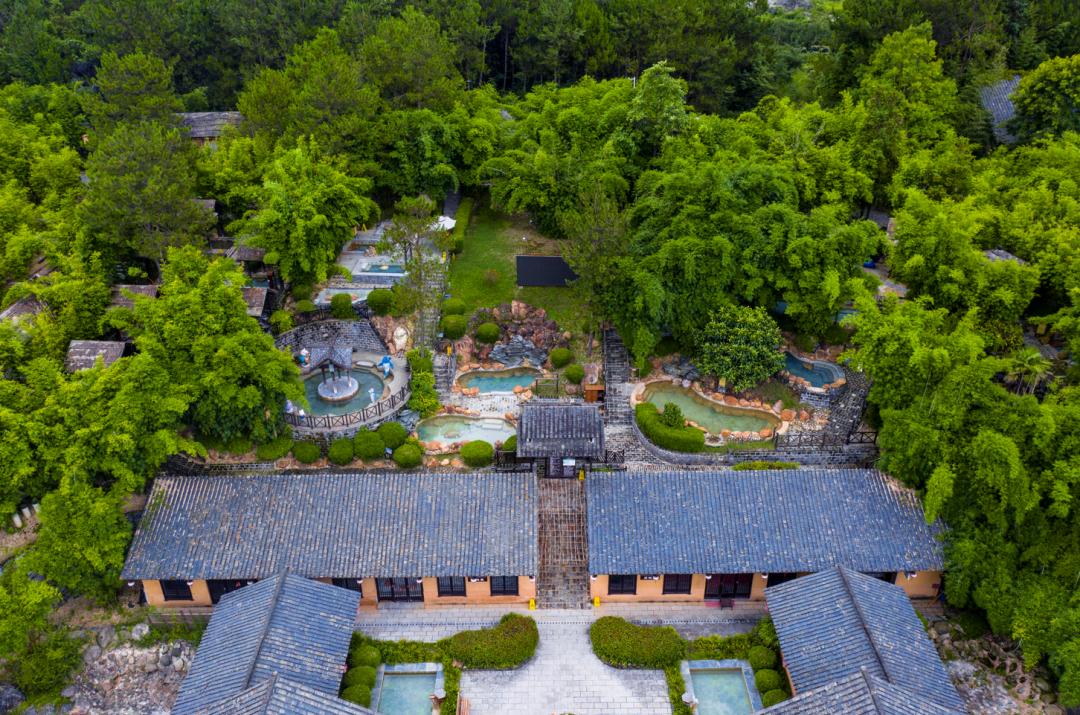 到咸宁看国宝过大年,离家45年的国宝回湖北咸宁过年