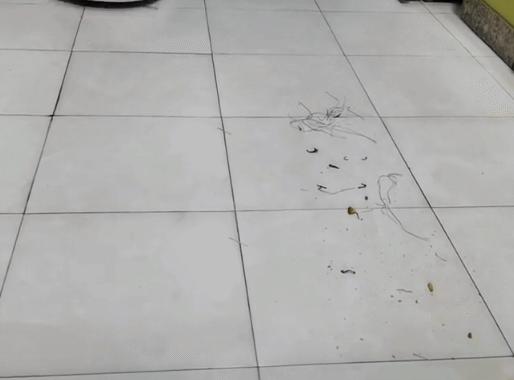 云鲸j2自动下水,云鲸j2自己改装自动上下水