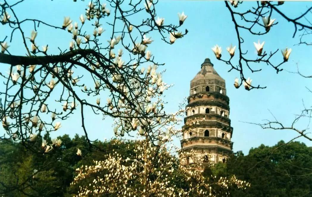 博物馆文创产业链不完整,博物馆的文创产品值不值得买