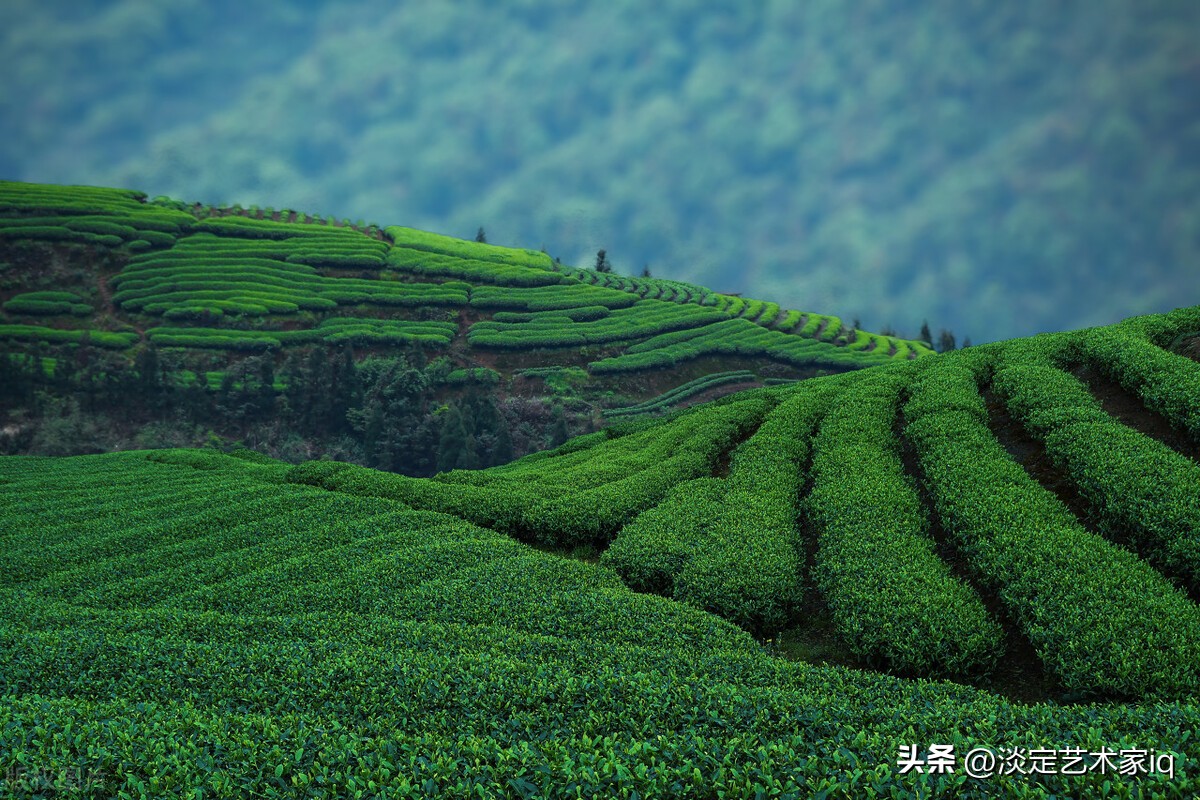 被拒绝和否认 (被拒绝如何反驳他的观点)