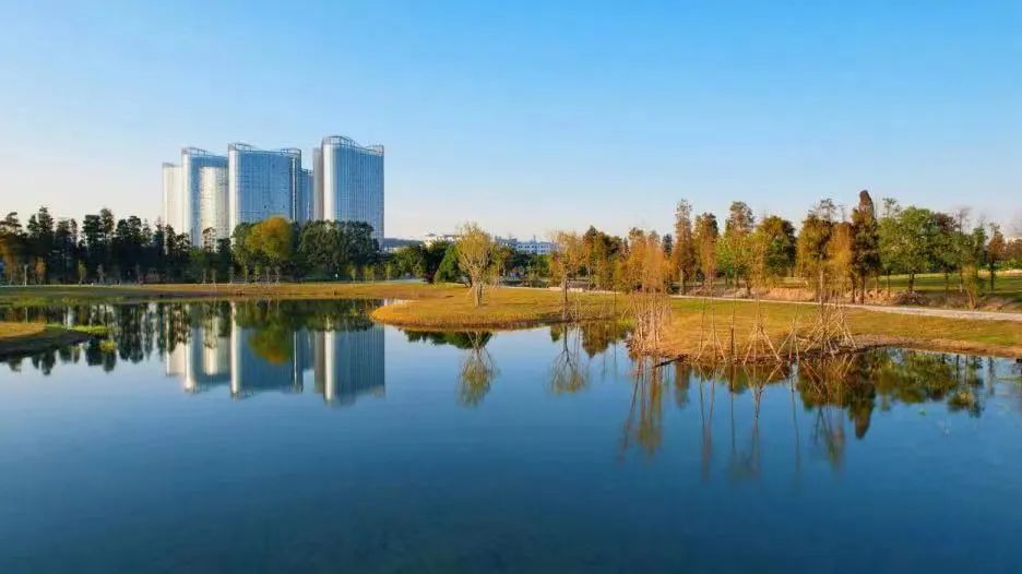 顺德落户条件,顺德定居的利弊