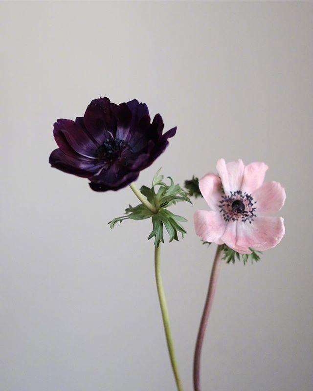 心灵鸡汤影响一生的心灵感悟,心灵鸡汤小说收藏榜