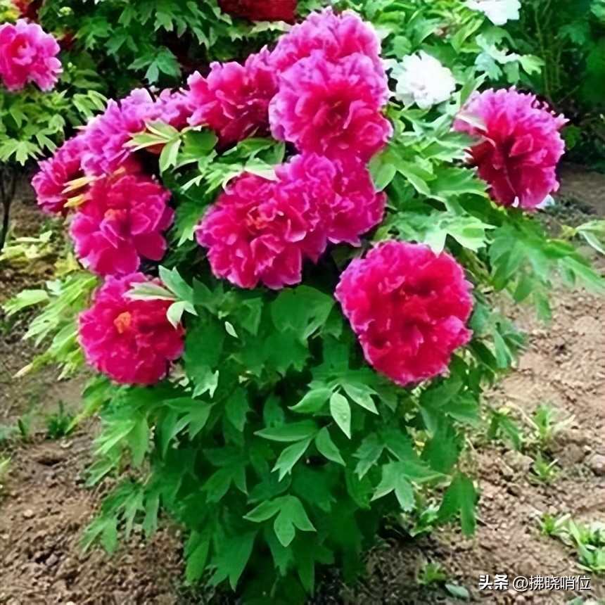 陈水儒原创：造势