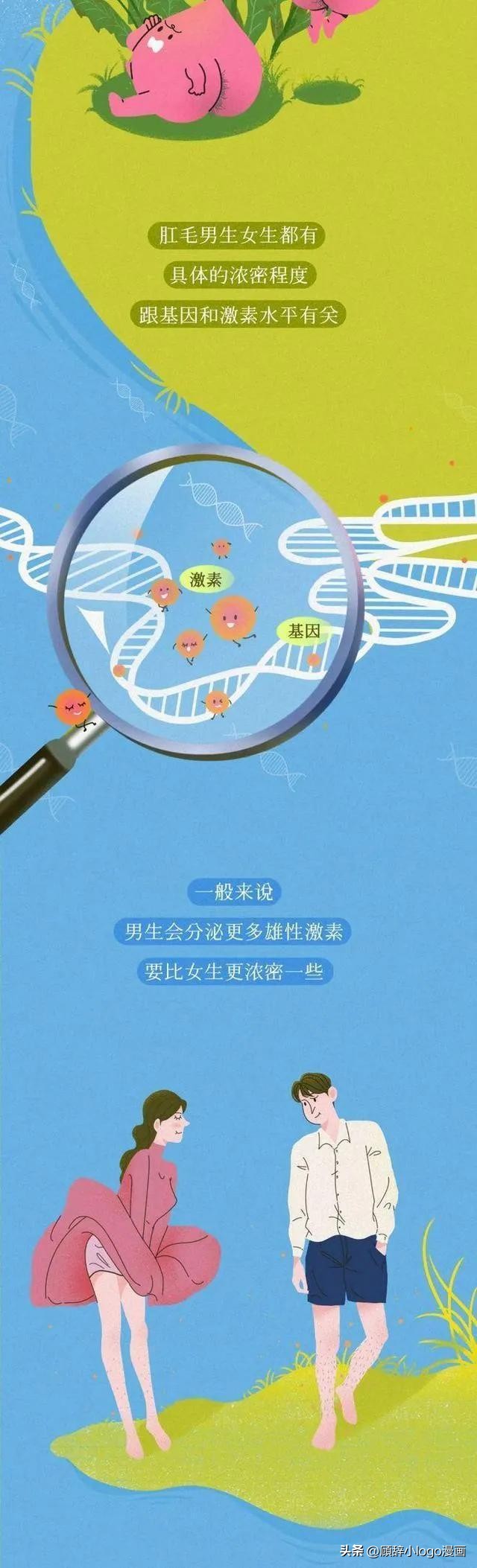 为什么肛门周围也会长“毛”？如果刮掉会怎样？（漫画）