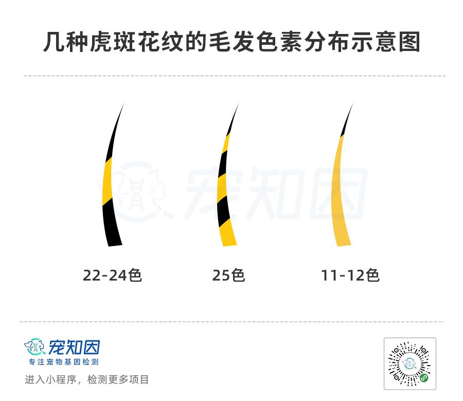 基因技术重大突破,基因科技的重大突破