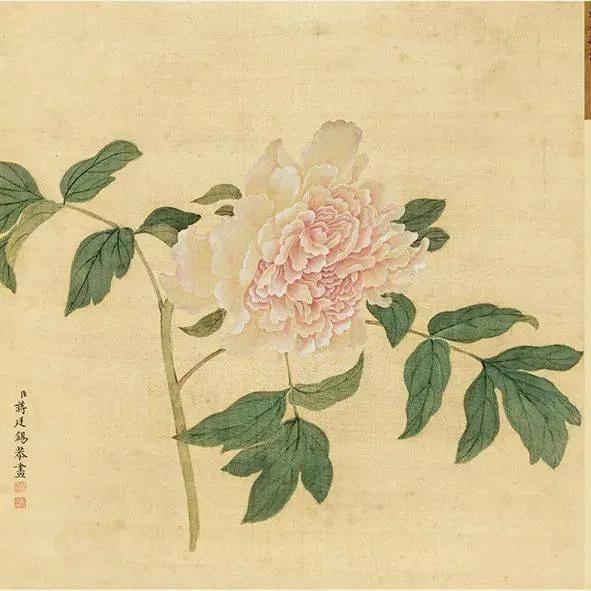 蒋廷锡牡丹画法,蒋廷锡百种牡丹画法