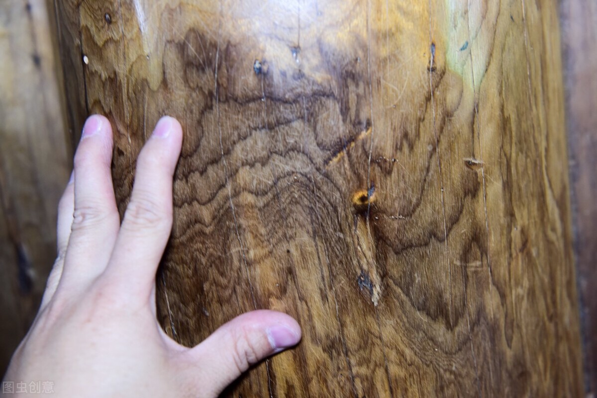 贵州发现50米高的千年金丝楠木,贵州有一棵金丝楠木价值十亿