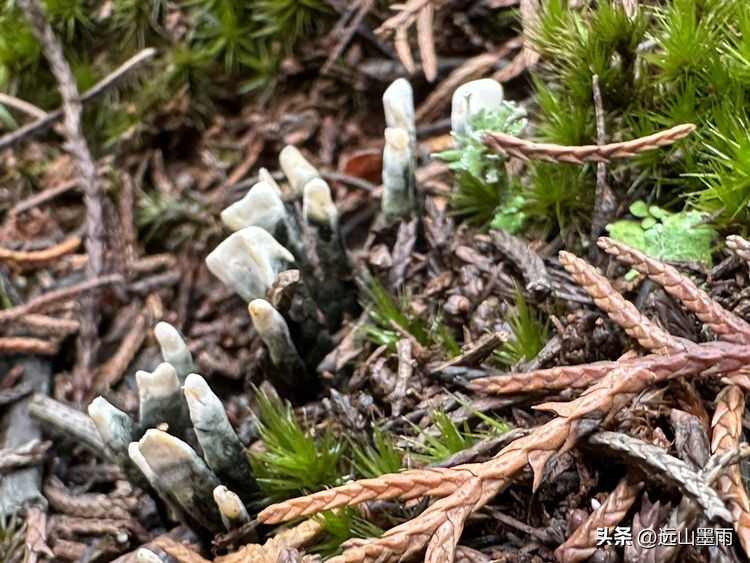 走进昆明安宁，爬癞乌包山、走车木河水库，收获了简单纯粹的快乐