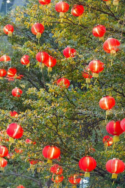 空空的红灯笼图片,单个漂亮的红灯笼图片