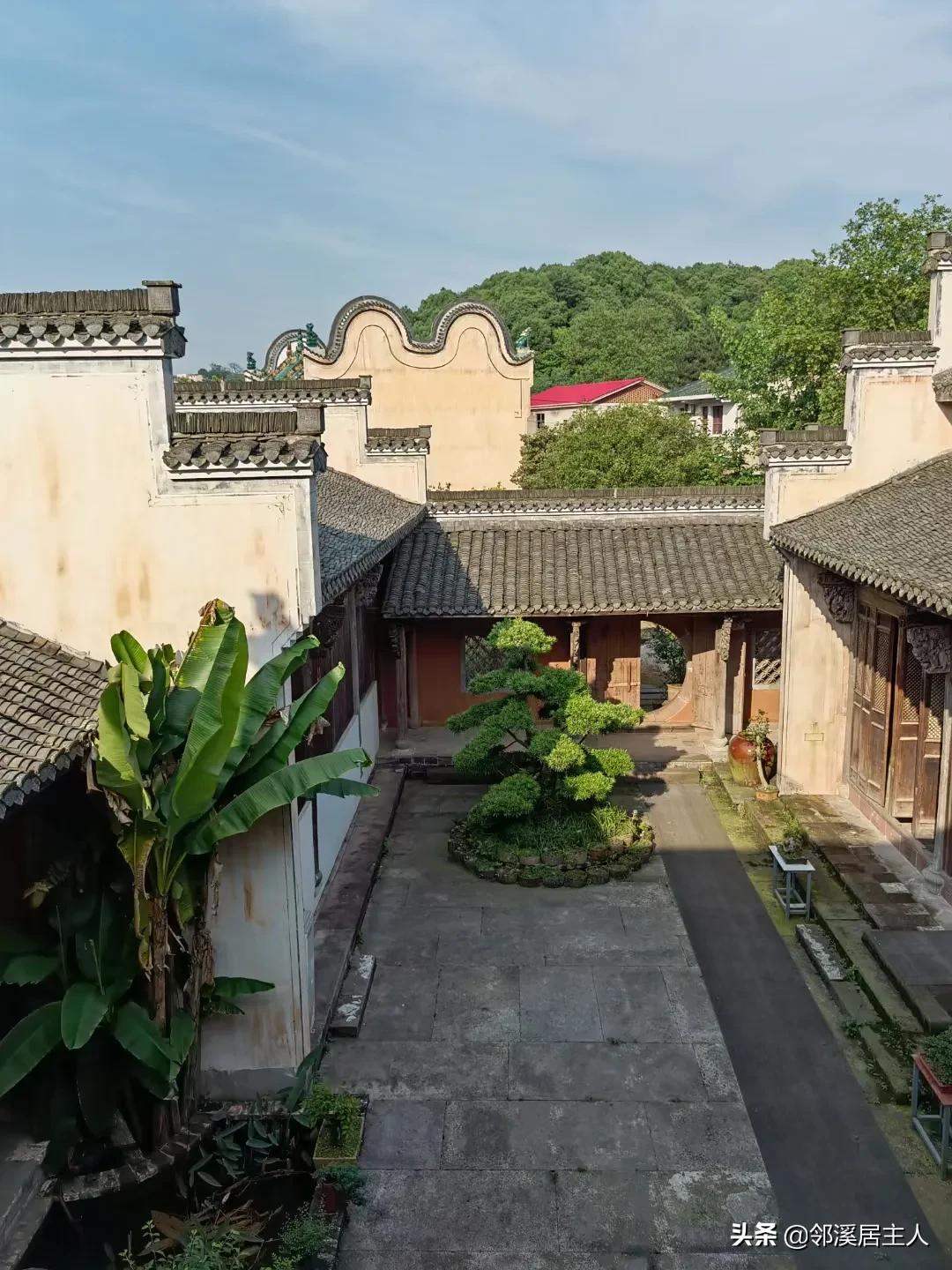 老顽童书法,书法老玩童