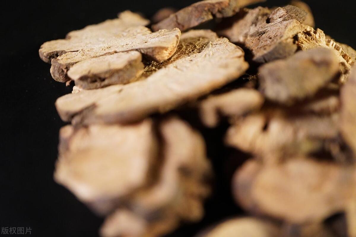 金荞麦是消炎药吗,金荞麦抗癌药