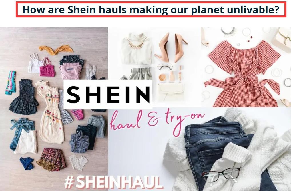 东南亚最大的电商平台,东南亚最大电商平台