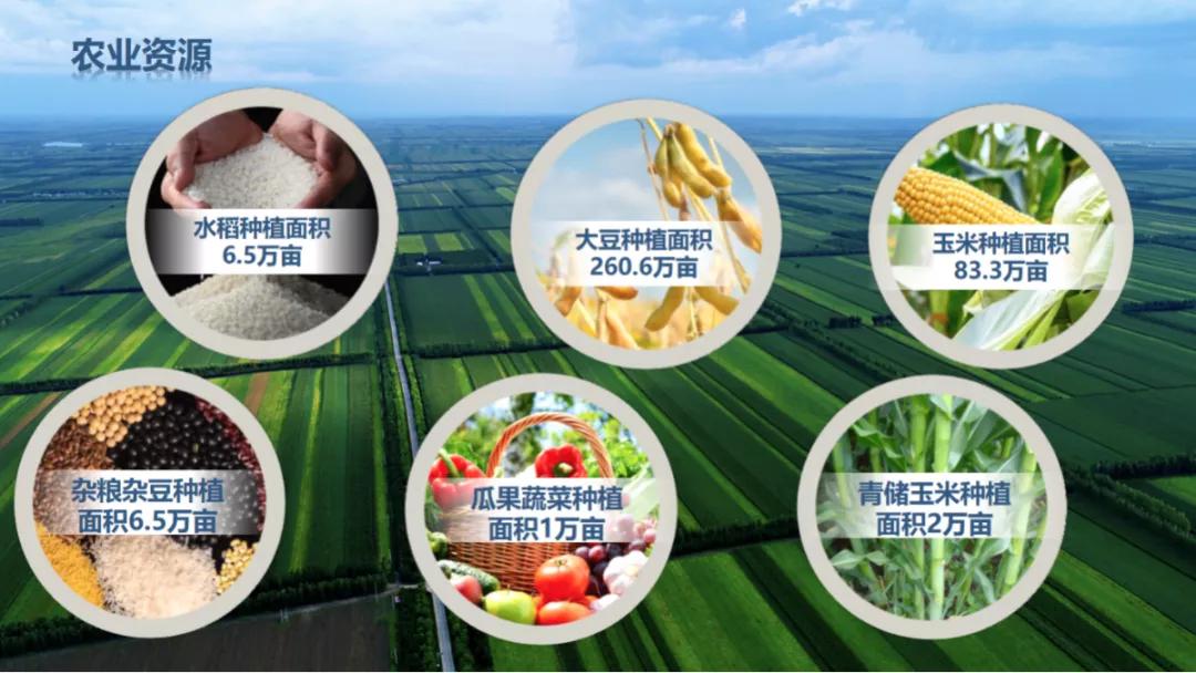 拜登支持催生新产业,黑龙江省拜泉县发展规划