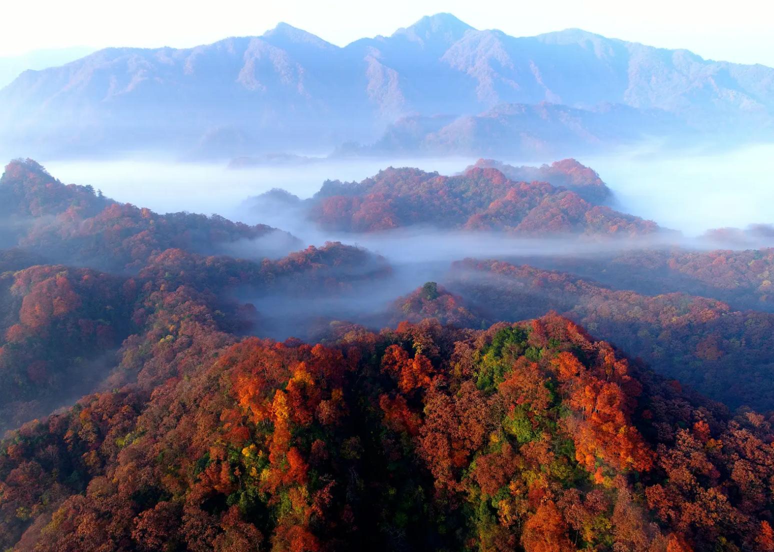 成都红叶打卡地,成都赏红叶最佳推荐地