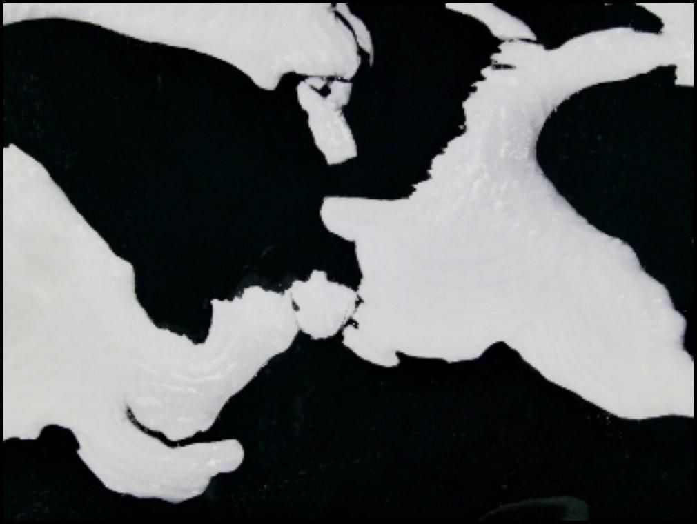 如何将图片文字转换word,把图片文字转换成word文档的软件