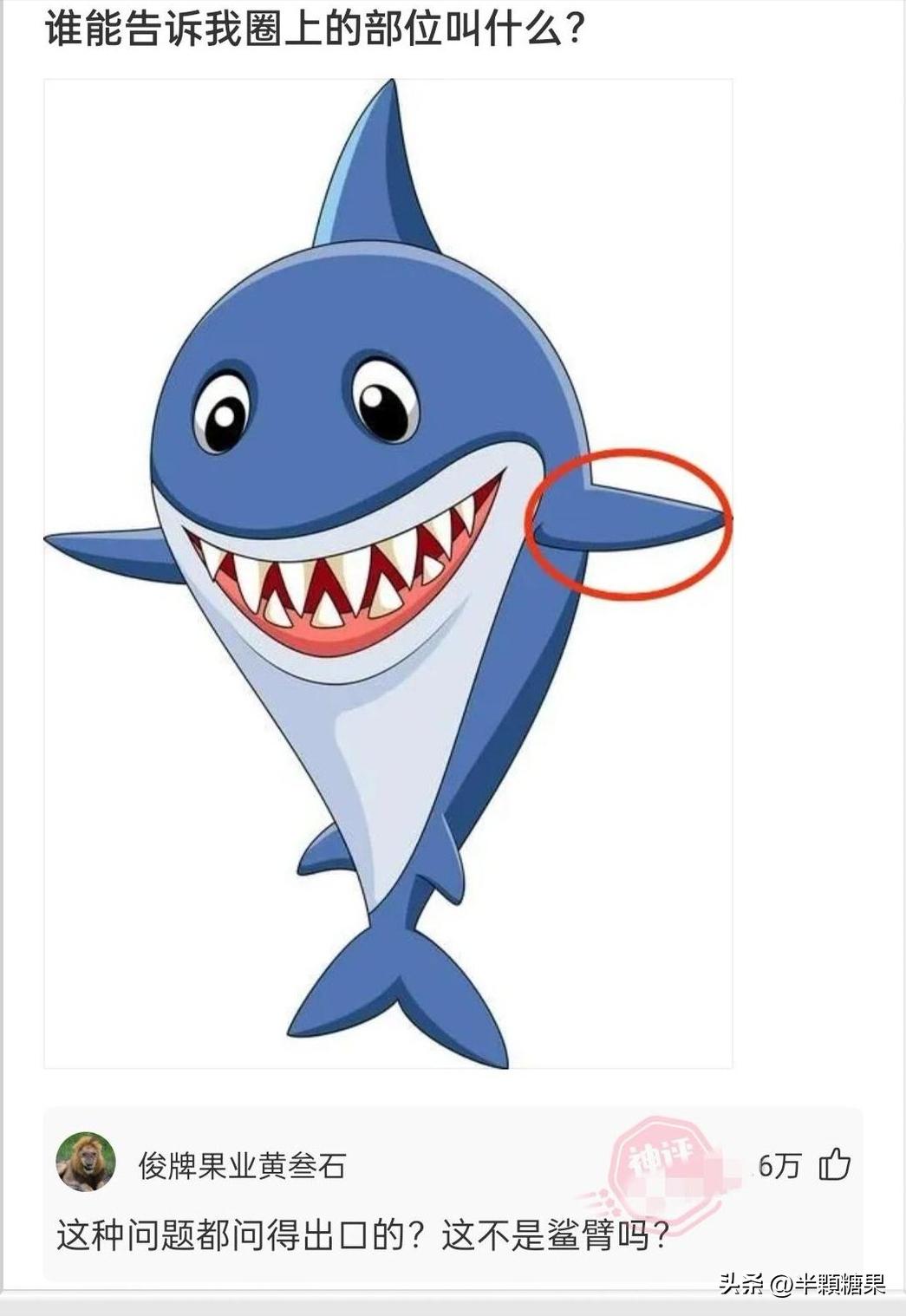 爆笑神回复之彩礼抵消术,爆笑神回复视频主持人