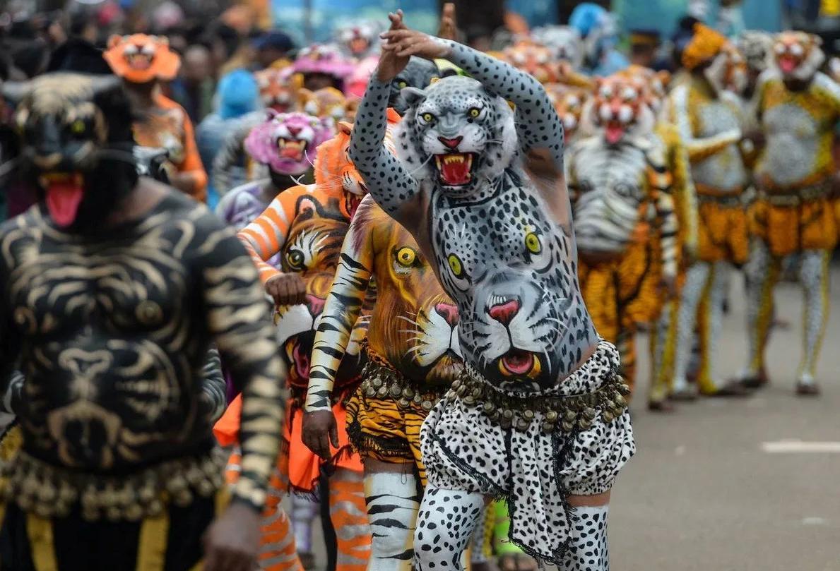 别笑！印度“老虎”*行游**：狂热艺术家们在昏厥中走向艺术巅峰