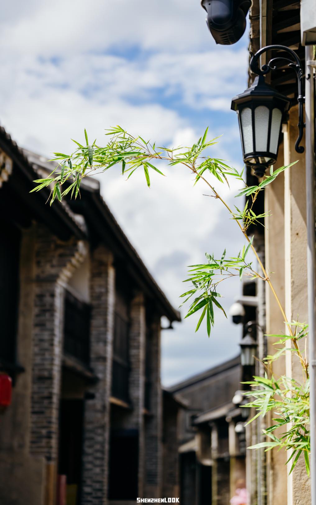 娣卞湷瑙傛緶鐧惧勾鍙ゅ,娣卞湷鐧惧勾鍙ゅ