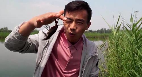 小伙养龙虾,小伙养十只大龙虾