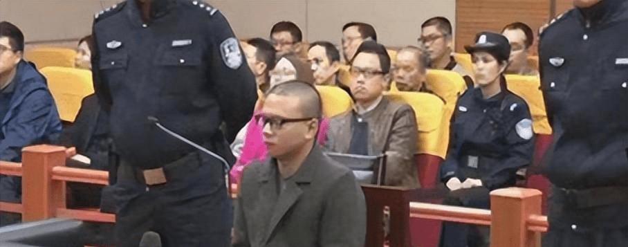 18岁小伙网购24把仿真枪被判无期！哭诉：局长藏20把真枪才判3年