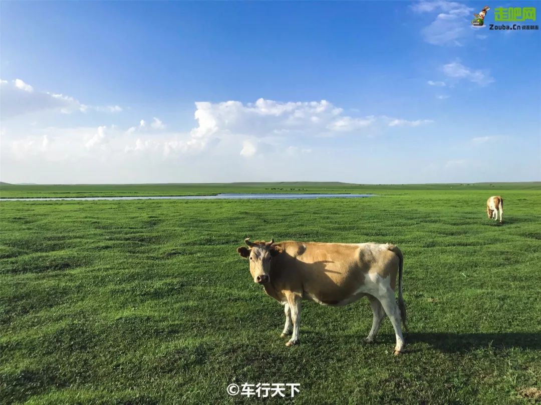 暑假去哪儿玩这100个避暑地等你来,夏天去的冷门避暑目的地推荐