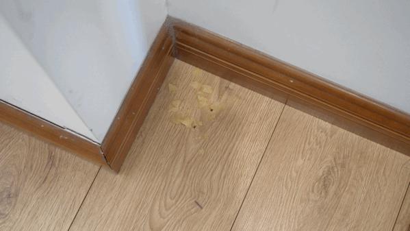 倍思X3洗地机使用方法,倍思x3洗地机使用教程