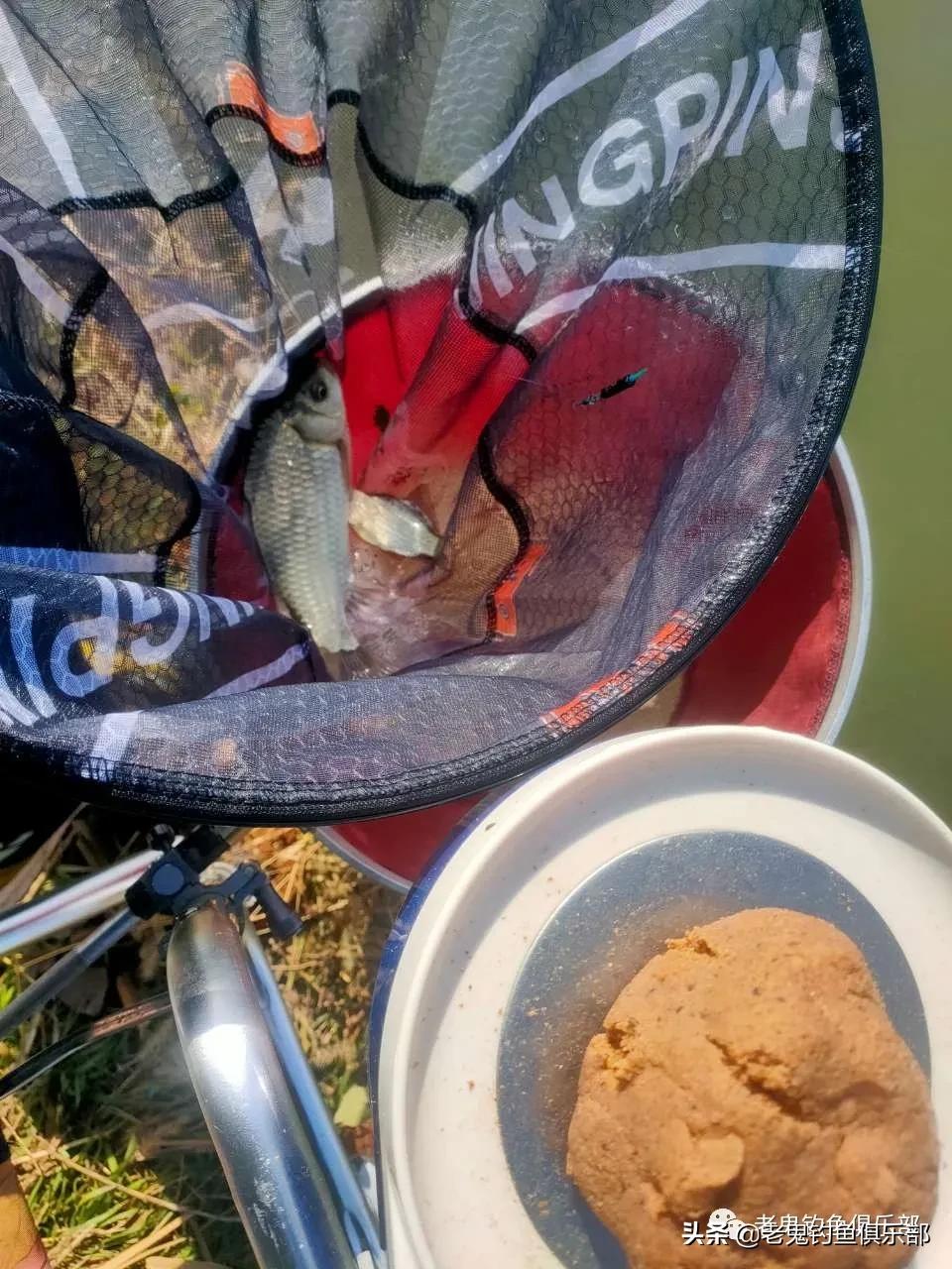 老鬼鲜蚯蚓拉饵多少钱,老鬼鲜蚯蚓拉饵怎么样