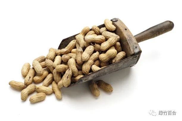 落花生课文,落花生的女儿