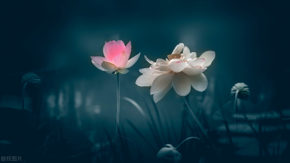 民法知识之遗嘱继承,民法典遗嘱举证