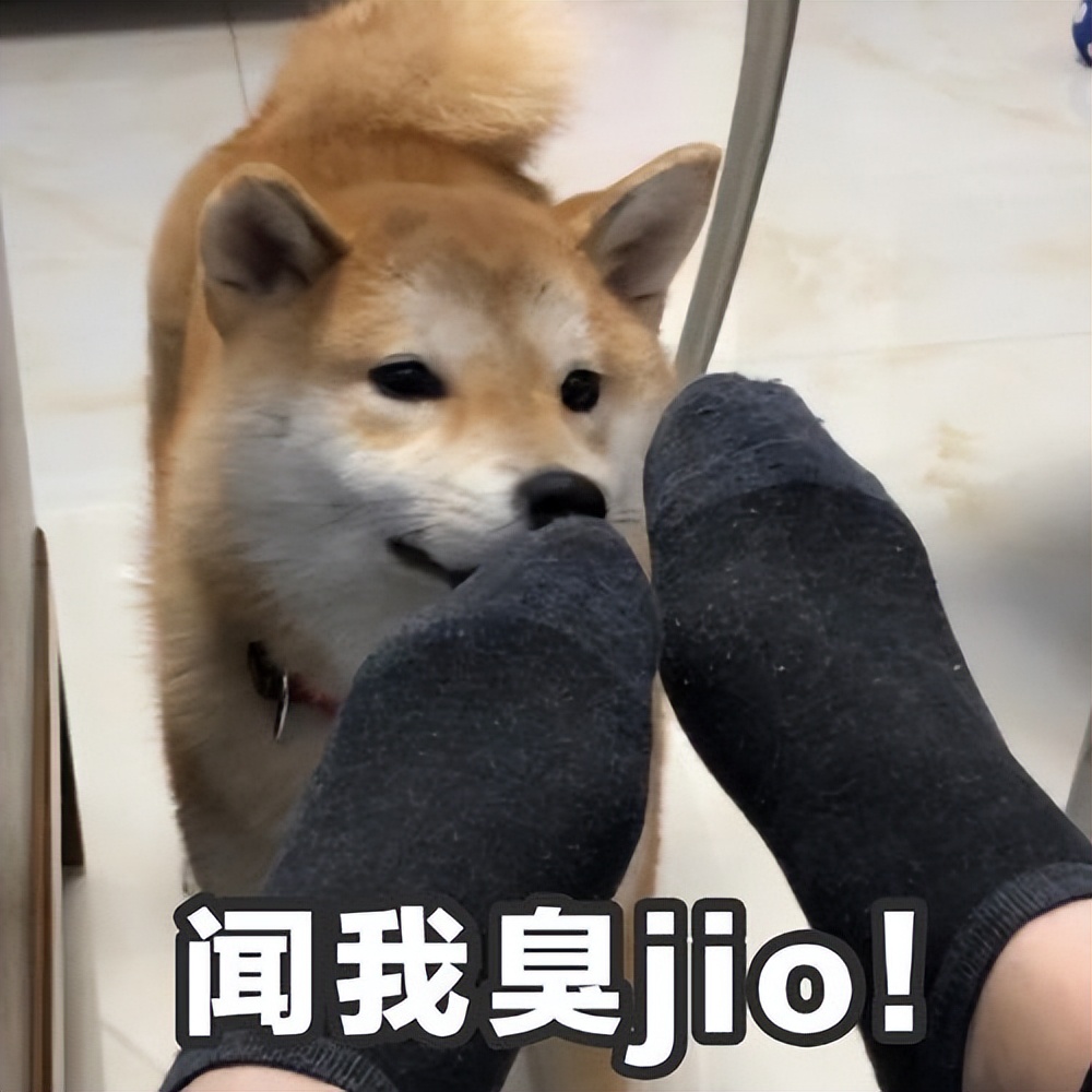 狗狗口臭怎么治疗最快最有效,狗狗有口臭怎么办最有效的方法