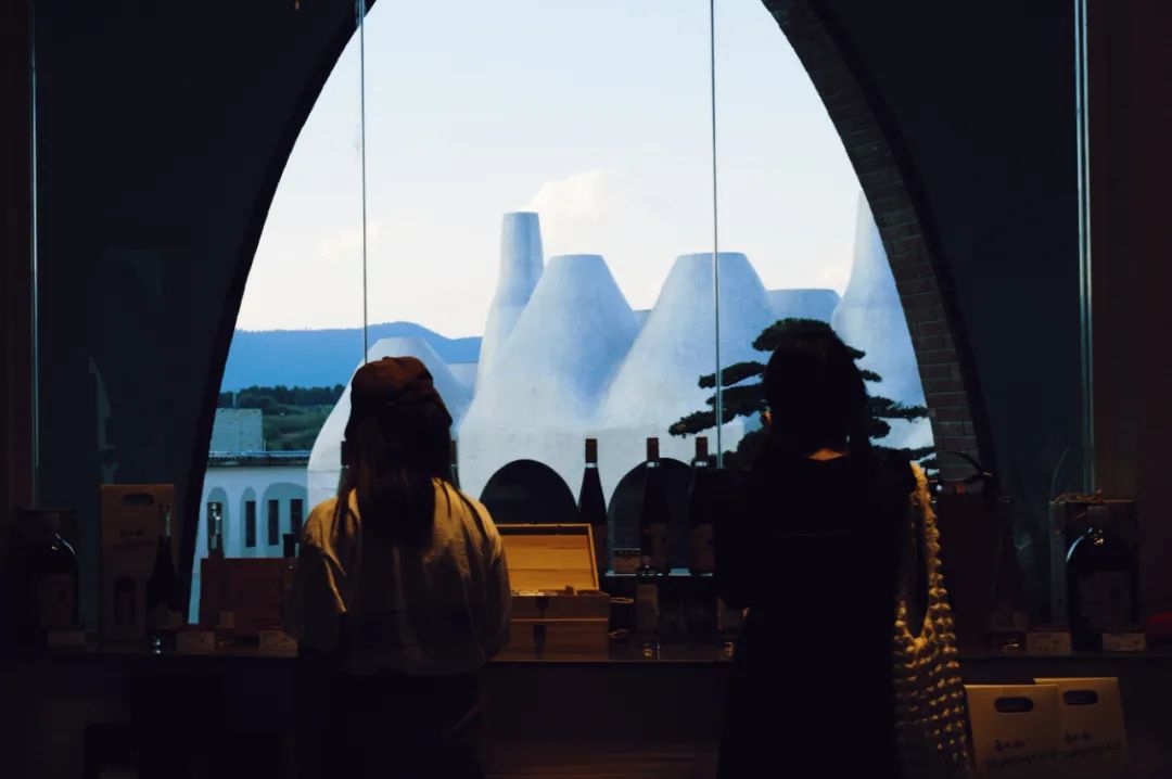 南方小众避寒好去处,今冬避寒好去处推荐