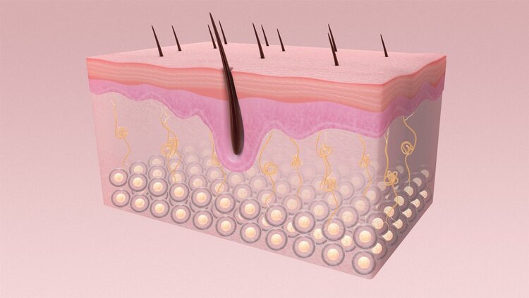 肛门周围经常潮湿、瘙痒,怎么处理好得快?医生给你这些建议