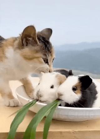 弱者只会抱怨而强者只会适应环境,人要对自己好一点幽默搞笑图片