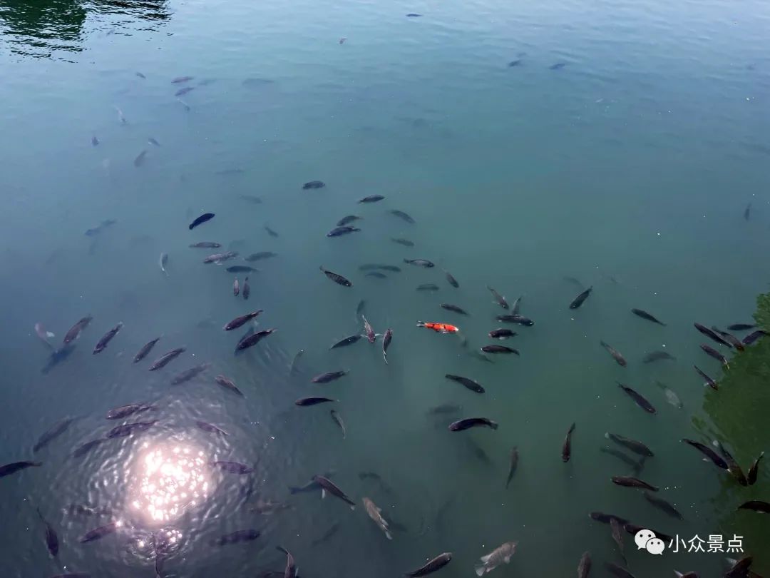 珍珠泉风景区：江北第一游观之所，南京后花园，老山绿色天堂~